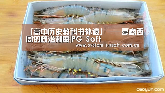 「高中历史教科书补遗」——夏商西周的政治制度|PG Soft(图1) pg电子