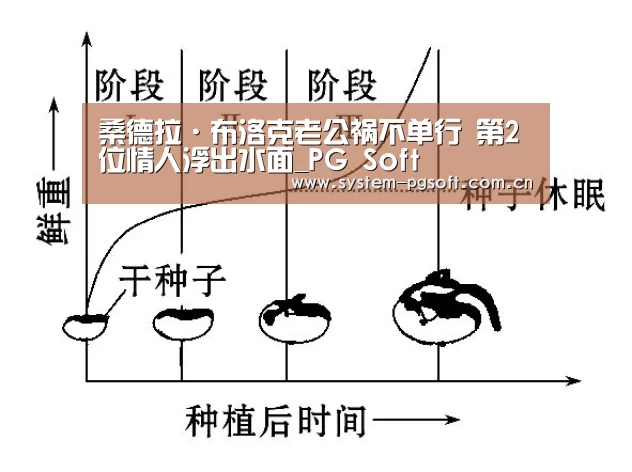 桑德拉·布洛克老公祸不单行 第2位情人浮出水面_PG Soft(图3) PG电子试玩