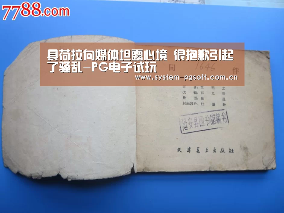 具荷拉向媒体坦露心境 很抱歉引起了骚乱-PG电子试玩(图1) PG电子免费试玩